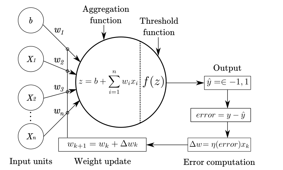 Inside a Perceptron: A Step-by-Step Guide to How Machines Learn to Make Decisions